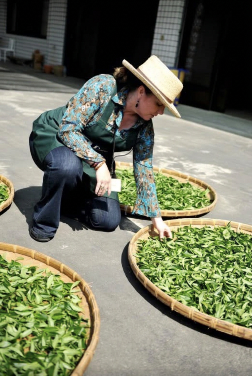 Michele in a straw hat inspecting freshly withered tea leaves spread in large round bamboo trays outside a tea factory.