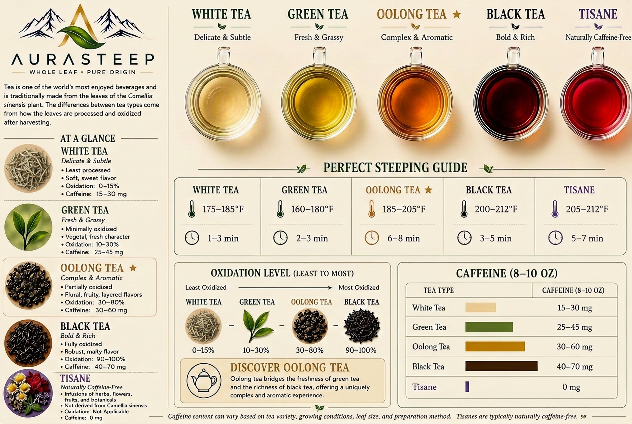 Aurasteep guide to tea types — white, green, oolong, black, and tisane — with a perfect steeping guide, oxidation levels, and caffeine comparison.